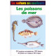 Les poissons de mer