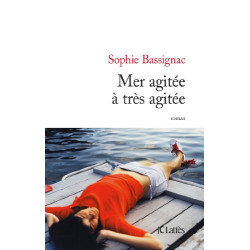 Mer agitée à très agitée
