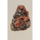 Cerusite barytine sur galène BCG1 40g 52mm38mm