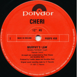 Murphy's Law