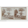 Vue Stéréoscopique Stéréo LAUSANNE OUCHY Bord lac léman fleurs bateaux
