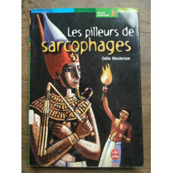 Les pilleurs de sarcophages