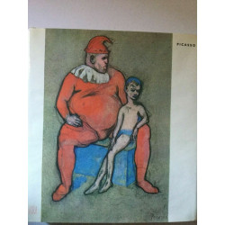 Picasso skira