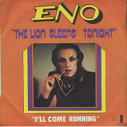 The Lion Sleeps Tonight