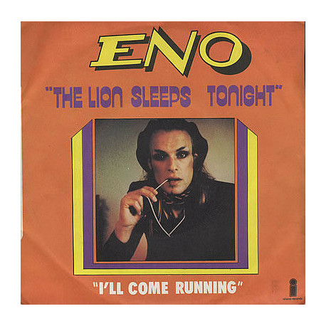 The Lion Sleeps Tonight