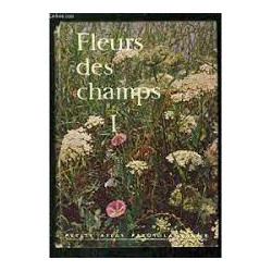 Fleurs des champs