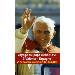 Voyage du Pape Benoît XVI à Valence - Espagne : Ve Rencontre...