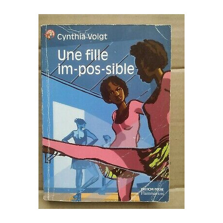 Une fille im pos sible flammarion