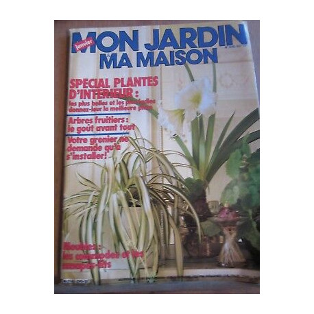 Mon jardin ma maison n290 Janvier 1983 Spécial plantes d'intérieur
