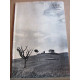 Guilde du livre lausanne Bulletin mensuel n4 Avril 1965 30ème année