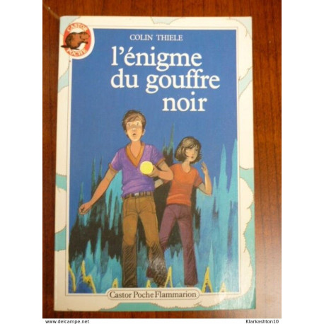 L'énigme du gouffre noir - Castor Poche