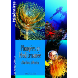 Plongées en Méditerranée : Côte d'Azur