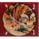 Walking On The Tiger's Tail