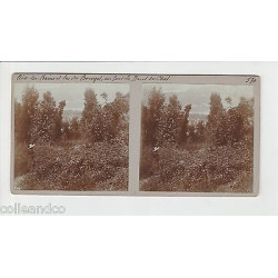 Vue Stéréoscopique Stéréo 73 AIX LES BAINS Vue générale lac du Bourget