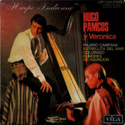 Harpe Indienne