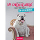 Un chien heureux en appartement