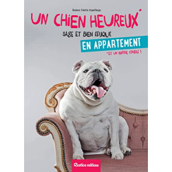 Un chien heureux en appartement