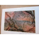 Guide Litza Bain de la peinture sur soie Editions
