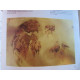Guide Litza Bain de la peinture sur soie Editions