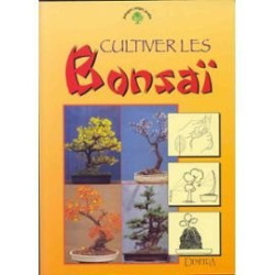 Cultiver les bonsai
