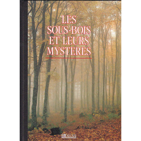 Les sous-bois et leurs mystères