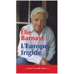 L'Europe frigide : Réflexions sur un projet inachevé