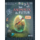 Les animaux du futur Dokéo
