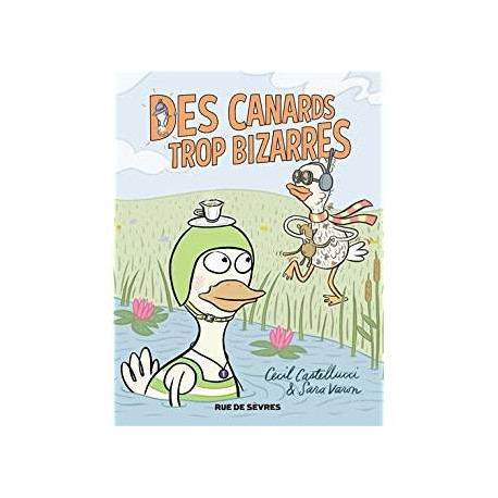 DES CANARDS TROP BIZARRES
