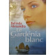 Le gardénia blanc