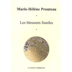 Blessures Fossiles (les)