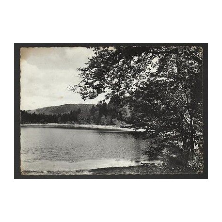 CPSM LA BRESSE 88 Le Lac des Corbeaux Vosges