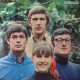 Seekers Seen In Green