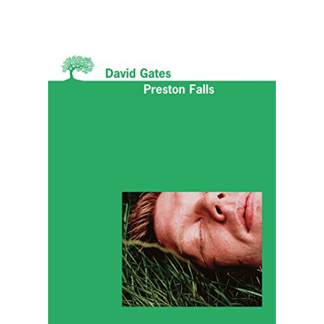 Preston Falls