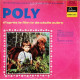 La Merveilleuse Aventure D'un Petit Garçon Et D'un Poney - Poly