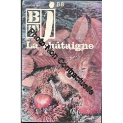 Bt Bibliothèque De Travail Pédagogie Freinet Btj N° 88 La Châtaigne