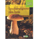 Vie en vert : Champignons des bois