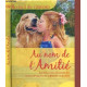 Au nom de l amitie