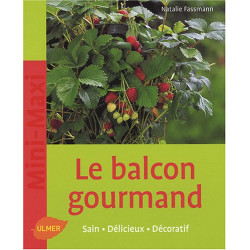 Le Balcon gourmand - Sain délicieux décoratif