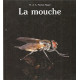 La mouche