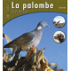 La palombe et ses chasses