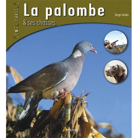 La palombe et ses chasses