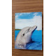 Flipper - le dauphin saison 1 (4 dvd)