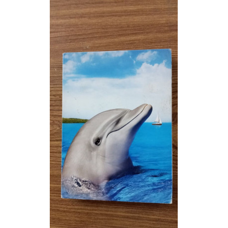Flipper - le dauphin saison 1 (4 dvd)