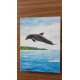 Flipper - le dauphin saison 1 (4 dvd)