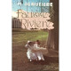 Louisiane Tome 2 : Fausse-rivière