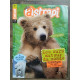 Nº627 Les ours autour du Monde 1 Novembre 2005