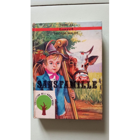 Sans famille tome 2