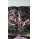 Châteaux vus du ciel