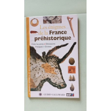 Les enigmes de la france prehistorique