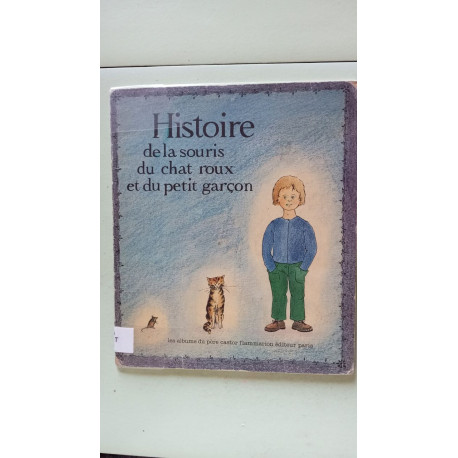 Histoire de la souris du chat roux et du petit garçon